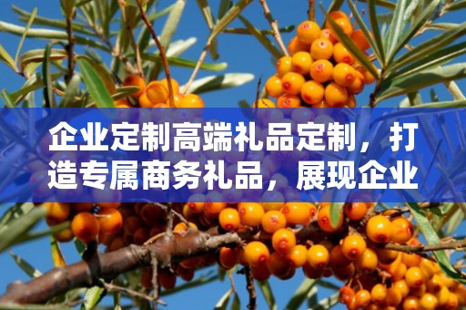 企业定制高端礼品定制，打造专属商务礼品，展现企业独特风采